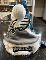 Philadelphia Eagles team logo adult Plush santa hat.