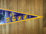 Minnesota Vikings Randy Moss Full Size Felt Pennant by WinCraft