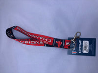 Boston Red Sox 2018 World Series Champion key strap keychain lanyard