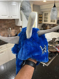 Detroit Lions NFL team Logo plush Spiked Helmet Hat