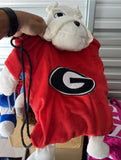 Georgia Bulldogs NCAA team mascot drawstring backpack childs