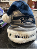 Seattle Seahawks adult size plush Nfl logo Holiday Santa hat