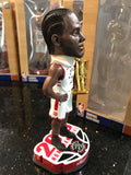 Kawhi Leonard (Toronto Raptors) 2019 NBA Champions 8" Bobblehead #28/2019