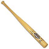 New York Yankees 2009 World Series Champions mini signature baseball bat